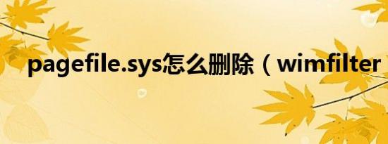 pagefile.sys怎么删除（wimfilter sys）