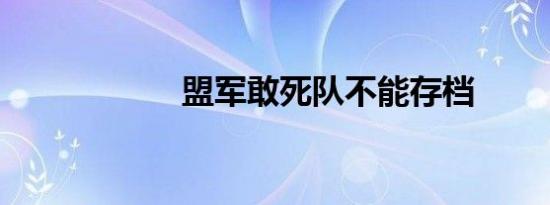 盟军敢死队不能存档
