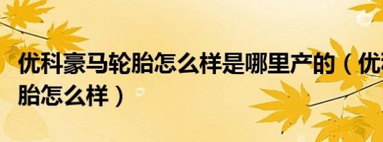 优科豪马轮胎怎么样是哪里产的（优科豪马轮胎怎么样）