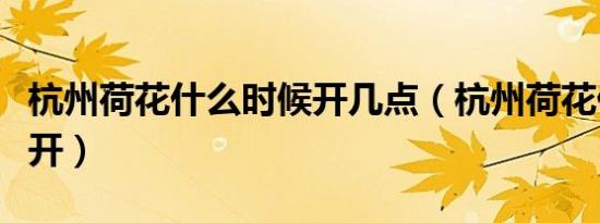 杭州荷花什么时候开几点（杭州荷花什么时候开）