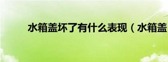 水箱盖坏了有什么表现（水箱盖）