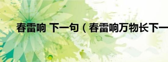 春雷响 下一句（春雷响万物长下一句）