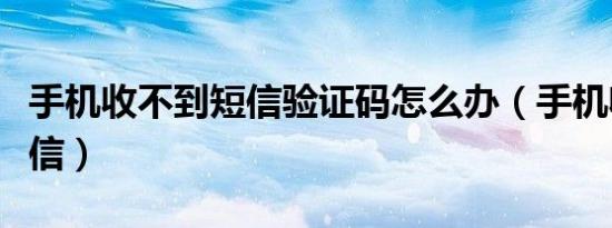 手机收不到短信验证码怎么办（手机收不到短信）