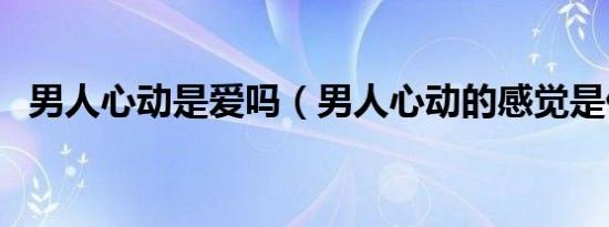 男人心动是爱吗（男人心动的感觉是什么）