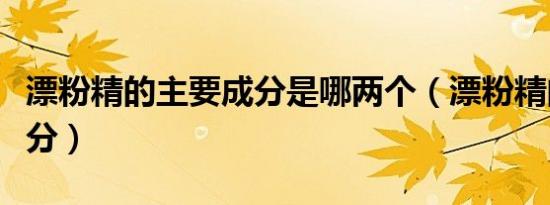 漂粉精的主要成分是哪两个（漂粉精的主要成分）