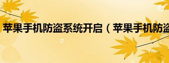 苹果手机防盗系统开启（苹果手机防盗系统）