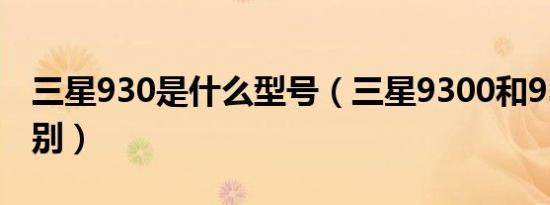 三星930是什么型号（三星9300和9308的区别）
