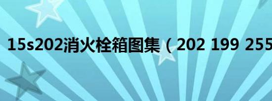 15s202消火栓箱图集（202 199 255 100）