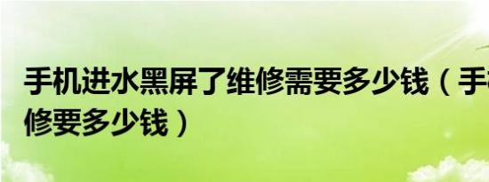 手机进水黑屏了维修需要多少钱（手机进水了修要多少钱）