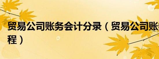 贸易公司账务会计分录（贸易公司账务处理流程）