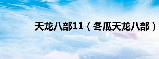 天龙八部11（冬瓜天龙八部）