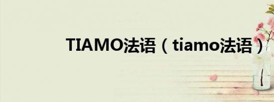 TIAMO法语（tiamo法语）