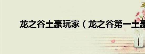 龙之谷土豪玩家（龙之谷第一土豪）