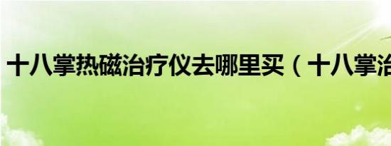 十八掌热磁治疗仪去哪里买（十八掌治疗仪）
