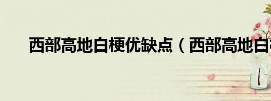 西部高地白梗优缺点（西部高地白梗）