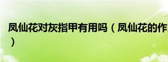 凤仙花对灰指甲有用吗（凤仙花的作用灰指甲）