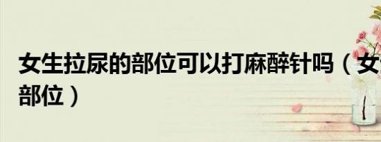 女生拉尿的部位可以打麻醉针吗（女生拉尿的部位）