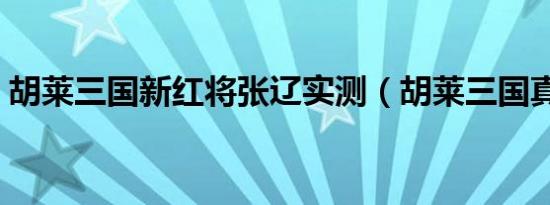 胡莱三国新红将张辽实测（胡莱三国真张辽）