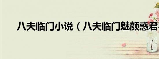 八夫临门小说（八夫临门魅颜惑君心）