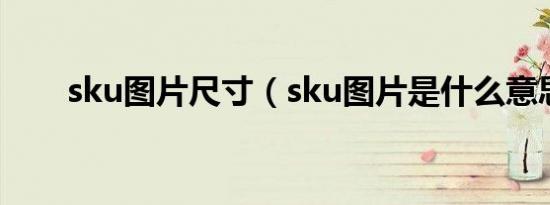 sku图片尺寸（sku图片是什么意思）