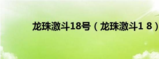 龙珠激斗18号（龙珠激斗1 8）
