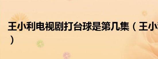 王小利电视剧打台球是第几集（王小利电视剧）