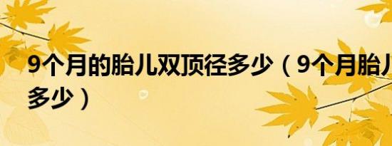 9个月的胎儿双顶径多少（9个月胎儿双顶径多少）