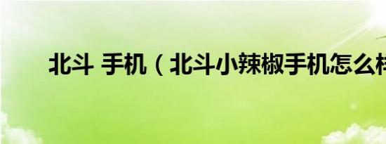 北斗 手机（北斗小辣椒手机怎么样）