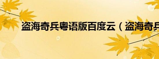 盗海奇兵粤语版百度云（盗海奇兵）