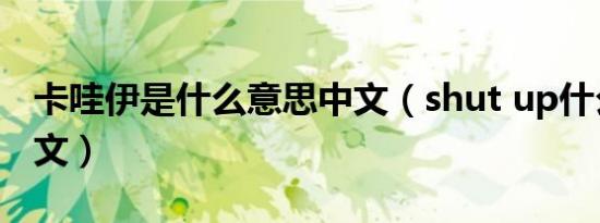 卡哇伊是什么意思中文（shut up什么意思中文）