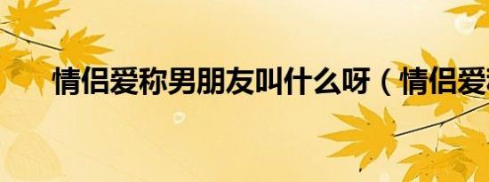 情侣爱称男朋友叫什么呀（情侣爱称）