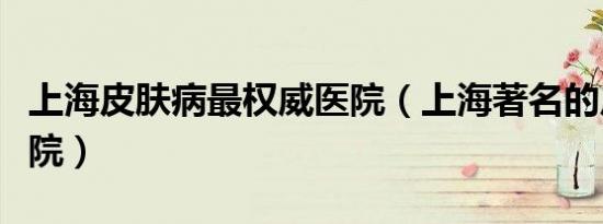 上海皮肤病最权威医院（上海著名的皮肤病医院）