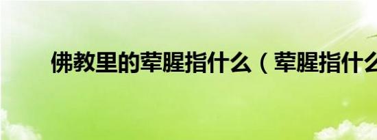 佛教里的荤腥指什么（荤腥指什么）
