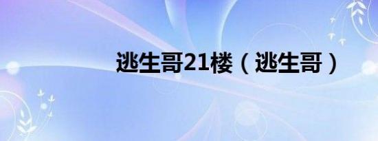 逃生哥21楼（逃生哥）