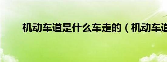 机动车道是什么车走的（机动车道）
