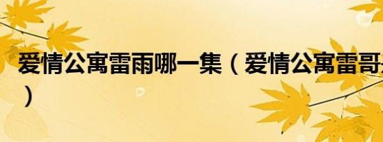 爱情公寓雷雨哪一集（爱情公寓雷哥是第几集）