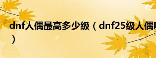 dnf人偶最高多少级（dnf25级人偶哪个厉害）