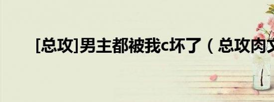 [总攻]男主都被我c坏了（总攻肉文）