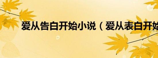 爱从告白开始小说（爱从表白开始）