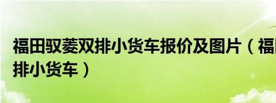 福田驭菱双排小货车报价及图片（福田驭菱双排小货车）