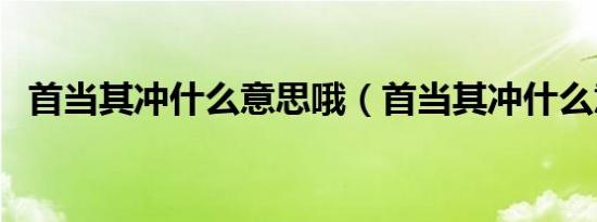 首当其冲什么意思哦（首当其冲什么意思）