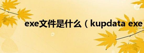 exe文件是什么（kupdata exe）