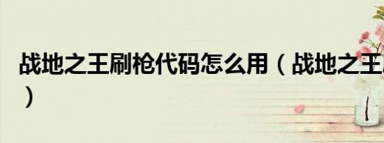战地之王刷枪代码怎么用（战地之王刷枪代码）