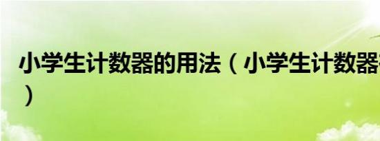 小学生计数器的用法（小学生计数器在线使用）