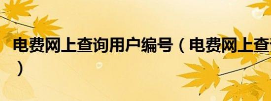电费网上查询用户编号（电费网上查询95598）
