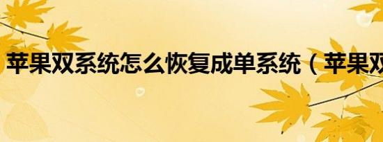 苹果双系统怎么恢复成单系统（苹果双系统）
