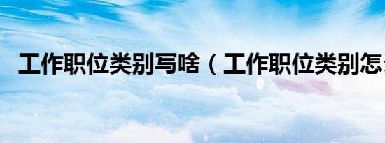 工作职位类别写啥（工作职位类别怎么填）