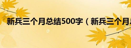 新兵三个月总结500字（新兵三个月总结）