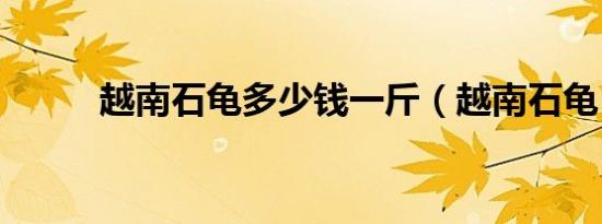 越南石龟多少钱一斤（越南石龟）