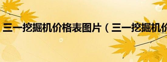 三一挖掘机价格表图片（三一挖掘机价格表）